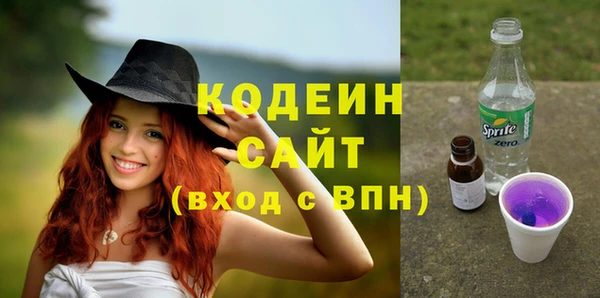 гашик Богородск
