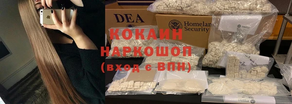 хмурый Белокуриха