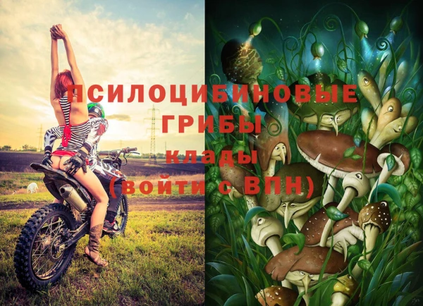 экстази Богданович