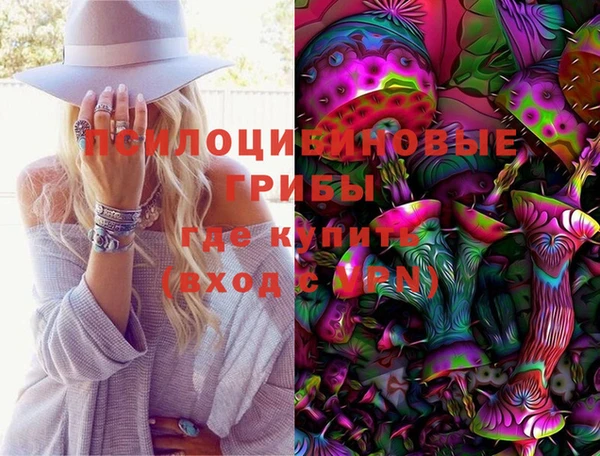 таблы Богородицк