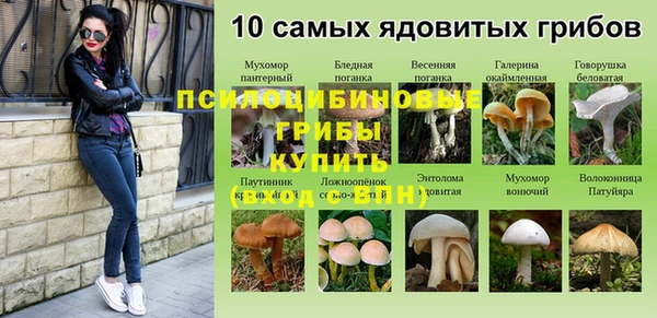 синтетический гашиш Бронницы