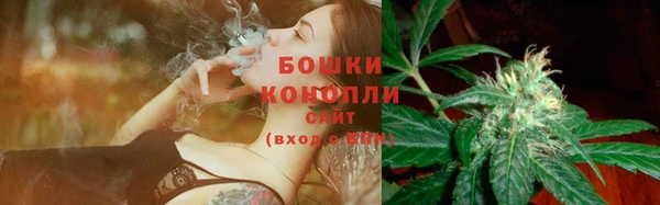 хмурый Белокуриха