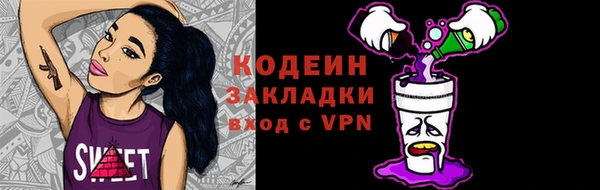 хмурый Белокуриха