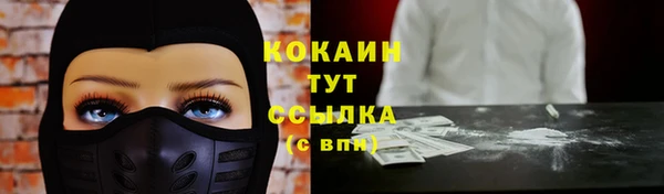 таблы Богородицк