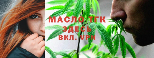 таблы Богородицк