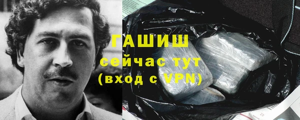 хмурый Белокуриха
